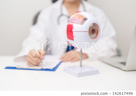 Doctor with human Eye anatomy model with magnifying glass. Eye disease, Refractive Errors, Age Related Macular Degeneration, Cataract, Diabetic Retinopathy, Glaucoma, Amblyopia, Strabismus and Health Doctor with human Eye anatomy model with magnifying glass. Eye disease, Refractive Errors, Age Related Macular Degeneration, Cataract, Diabetic Retinopathy, Glaucoma, Amblyopia, Strabismus and Health 142617499