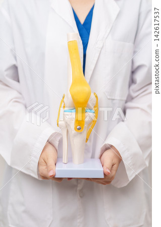 Doctor with Human Knee joint anatomy model. Osteoarthritis, Patellofemoral Pain Syndrome, Patellar Tendinitis, ACL, Anterior Cruciate Ligament, PCL, Posterior, MCL, Medial Collateral, LCL and Lateral 142617537