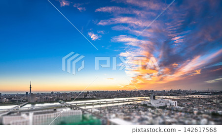 Aerial view of tokyo skytree and city skyline with skyscrapers and blurred foreground at sunset in Japan, miniature tilt shift effect Aerial view of tokyo skytree and city skyline with skyscrapers and blurred foreground at sunset in Japan, miniature tilt shift effect 142617568