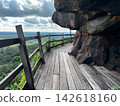Wooden walkway around the steep sandstone cliff at Wat Phu Tok temple. Scenic mountain path trail with a wooden fence overlooking the green tropical forest and cloudy sky in Thailand 142618160