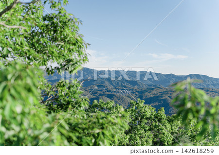 山景 142618259