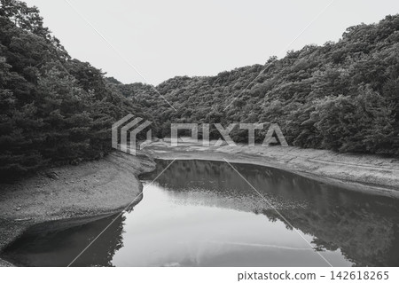 池 池 142618265