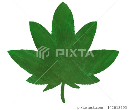 簡單的綠色楓葉 簡單的綠色楓葉 142618393