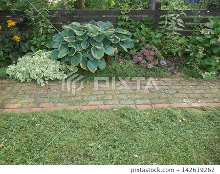 Autumn deepens in the garden (wide shot) Autumn deepens in the garden (wide shot) 142619262