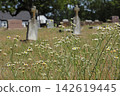 Historic Liberty Hill Cemetery With Church in Background Located in Tyler TX 142619445