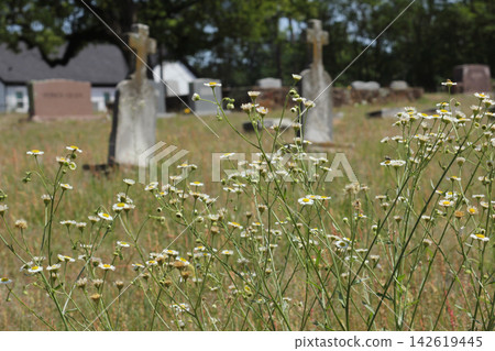 Historic Liberty Hill Cemetery With Church in Background Located in Tyler TX Historic Liberty Hill Cemetery With Church in Background Located in Tyler TX 142619445