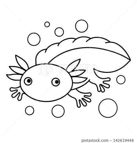 Axolotl Axolotl 142619448