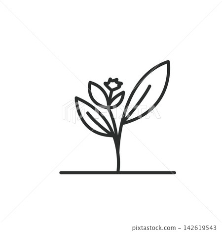 black line tulip icon vector element design template black line tulip icon vector element design template 142619543