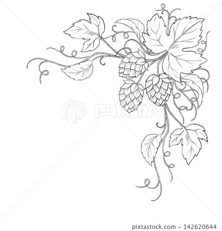 Hand-drawn black and white line art illustration of hops cones and leaves forming an elegant corner frame. Features ample copy space, perfect for brewery branding, artisanal beer menus, and rustic Hand-drawn black and white line art illustration of hops cones and leaves forming an elegant corner frame. Features ample copy space, perfect for brewery branding, artisanal beer menus, and rustic 142620644