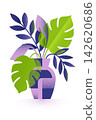 Botanical halftone plant in vase with tropical leaf illustration 142620686