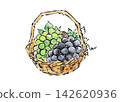 An illustration of grapes in a basket, in the style of a picture postcard. 142620936