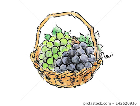 An illustration of grapes in a basket, in the style of a picture postcard. 142620936