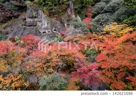 石川縣那田寺的秋葉 石川縣那田寺的秋葉 142621086