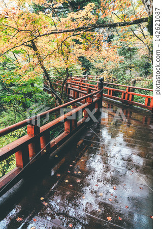 石川縣那田寺的秋葉 石川縣那田寺的秋葉 142621087