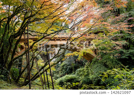 加賀山中溫泉 Koorogi 橋的秋葉 加賀山中溫泉 Koorogi 橋的秋葉 142621097