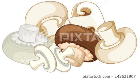 Vector Illustration of Fresh White and Brown Button Mushrooms Vector Illustration of Fresh White and Brown Button Mushrooms 142621907