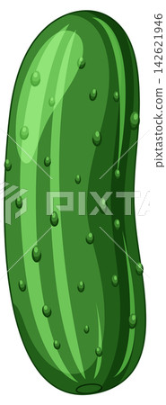 Fresh Green Cucumber Vector Illustration Isolated on White Background 142621946