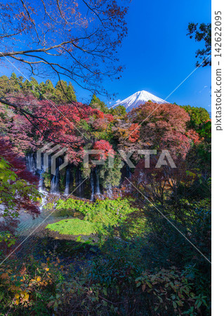 【富士山圖片】白絲瀑布的秋葉和白雪皚皚的富士山【靜岡縣】 【富士山圖片】白絲瀑布的秋葉和白雪皚皚的富士山【靜岡縣】 142622095