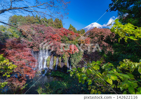 【富士山圖片】白絲瀑布的秋葉和白雪皚皚的富士山【靜岡縣】 【富士山圖片】白絲瀑布的秋葉和白雪皚皚的富士山【靜岡縣】 142622116