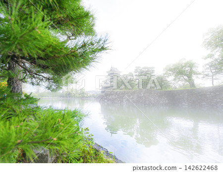 松本城 松本城 142622468