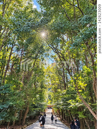 通往伊勢神宮的綠樹成蔭，陽光透過樹木灑下斑駁的光影，信徒們熙熙攘攘，熱鬧非凡。 142623009