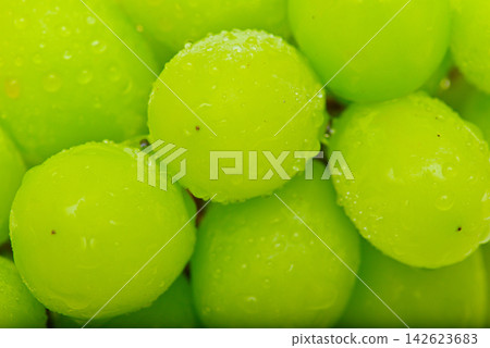 Fresh shine muscat Fresh shine muscat 142623683