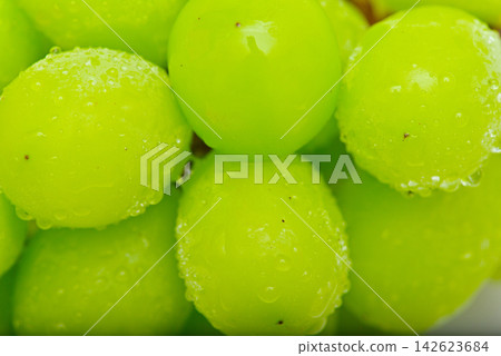 Fresh shine muscat Fresh shine muscat 142623684