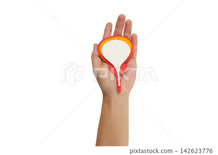 Hand shows prostate model for education, isolated on white, PNG Hand shows prostate model for education, isolated on white, PNG 142623776