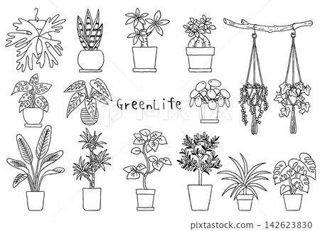 室內植物插畫集 - 手繪單色線條藝術 室內植物插畫集 - 手繪單色線條藝術 142623830