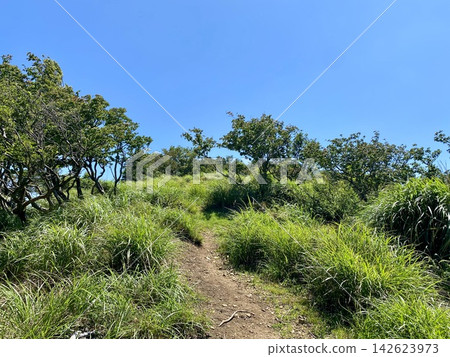 鬱鬱蔥蔥的夏日山間小徑在藍天下蜿蜒延伸。 142623973