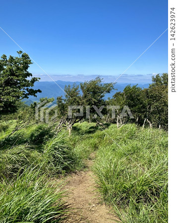 夏季遠足小徑穿過綠色的草地,通往山脈。 夏季遠足小徑穿過綠色的草地,通往山脈。 142623974