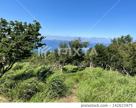 沿著鬱鬱蔥蔥的山路,夏日山巒美景徐徐展開。 沿著鬱鬱蔥蔥的山路,夏日山巒美景徐徐展開。 142623975