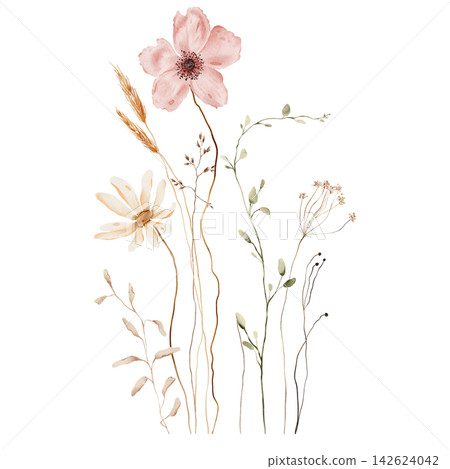 Watercolor Wildflower Bouquet. Pink Poppy, White Daisy, Wheat Stalks and Dried Seed Heads on White Background. Hand-painted illustrations. Asymmetrical composition with varying stem heights Watercolor Wildflower Bouquet. Pink Poppy, White Daisy, Wheat Stalks and Dried Seed Heads on White Background. Hand-painted illustrations. Asymmetrical composition with varying stem heights 142624042