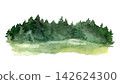 Watercolor green forest edge with fir trees over a bright summer meadow 142624300