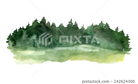 Watercolor green forest edge with fir trees over a bright summer meadow Watercolor green forest edge with fir trees over a bright summer meadow 142624300
