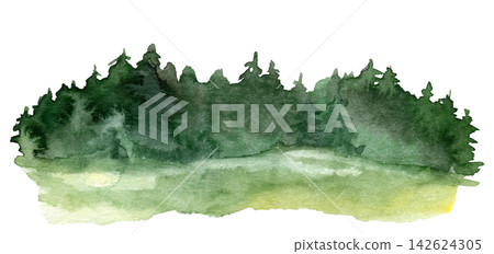 Watercolor green forest edge with fir trees over a bright summer meadow Watercolor green forest edge with fir trees over a bright summer meadow 142624305