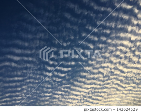 一片由卷積雲(鯖魚雲/波浪雲)組成的壯麗景象,鋪展在蔚藍的天空。 一片由卷積雲(鯖魚雲/波浪雲)組成的壯麗景象,鋪展在蔚藍的天空。 142624529