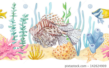 Watercolor seamless border with lionfish, tropical fish, seaweed, corals and starfish isolated on white background. Hand drawn marine element for underwater theme design Watercolor seamless border with lionfish, tropical fish, seaweed, corals and starfish isolated on white background. Hand drawn marine element for underwater theme design 142624909