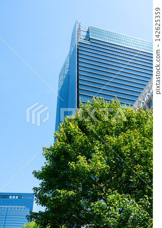 辦公區域的風景與綠色的 辦公區域的風景與綠色的 142625359