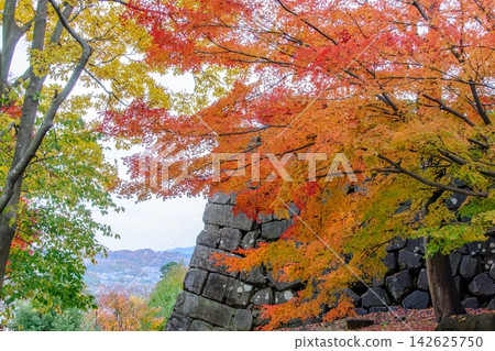 金澤城公園的秋天:絢麗的秋葉映襯著雄偉的石牆和周圍的城市景觀,構成了一幅美麗的畫卷。 金澤城公園的秋天:絢麗的秋葉映襯著雄偉的石牆和周圍的城市景觀,構成了一幅美麗的畫卷。 142625750
