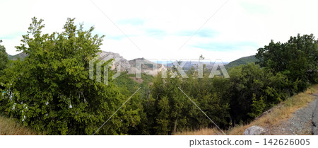green trees and wish ribbons on branches with view of mountain valley green trees and wish ribbons on branches with view of mountain valley 142626005