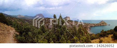 view of a rocky cape and sea bay through a green juniper grove under an overcast sky view of a rocky cape and sea bay through a green juniper grove under an overcast sky 142626052
