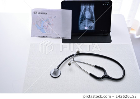 Pet X-ray images, tablet, animal hospital, dog, cat, veterinarian Pet X-ray images, tablet, animal hospital, dog, cat, veterinarian 142626152