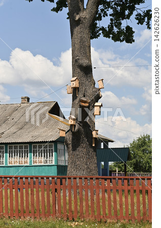 Wooden birdhouse hangs on tall tree trunk near rustic village house. Wooden birdhouse hangs on tall tree trunk near rustic village house. 142626230