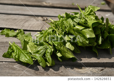 Healthy spinach herb rests on grey wooden floor. Healthy spinach herb rests on grey wooden floor. 142626651