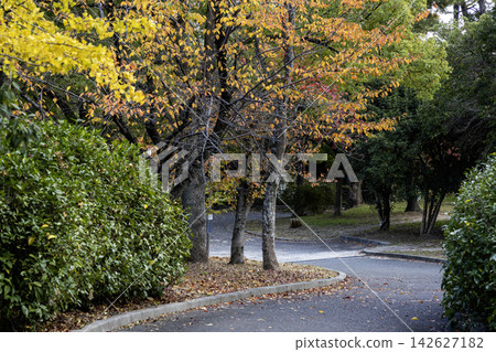 Autumn scenery in the park Autumn scenery in the park 142627182