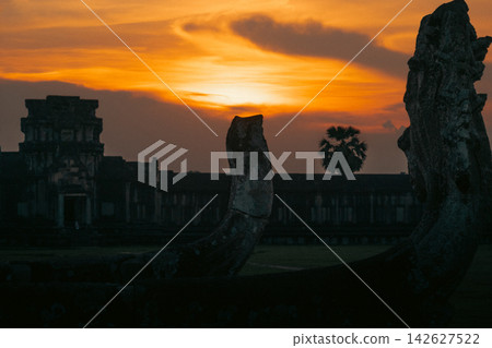 夕陽下的娜迦 夕陽下的娜迦 142627522
