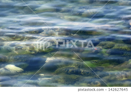 Crystal-clear sea with stones and algae beneath rippling water. Crystal-clear sea with stones and algae beneath rippling water. 142627645