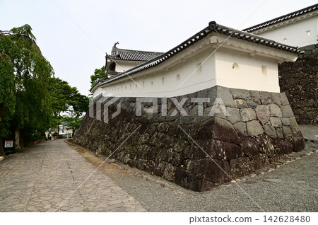Shiroishi Castle Shiroishi Castle 142628480