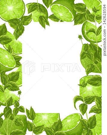 Green lime with mint leaves on a white background. Vertical square frame with an empty text place. Banner, poster, print. Vector hand drawn illustration. Elements are not cropped 142628594